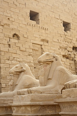 Ram sphinxes at Karnak Temple