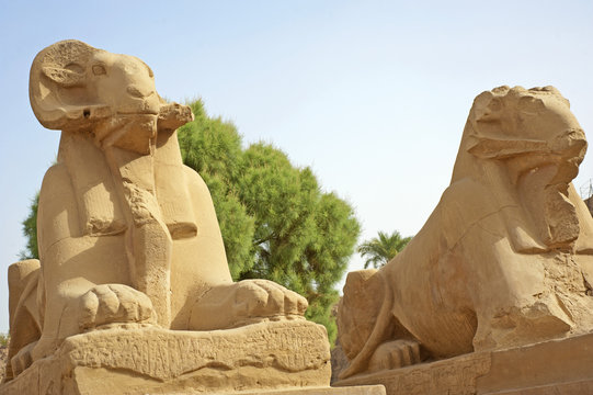 Ram sphinxes at Karnak Temple