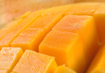 mango cut and cubed in its skin.