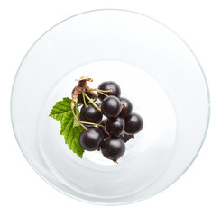 Blackcurrant in glass bowl