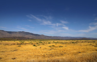 Blue sky and Prairie landscape in Arizona