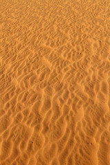 Desert sand