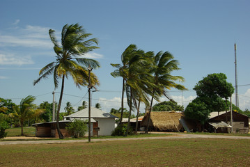 awala-yalimapo