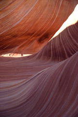 The Wave, Paria Canyon. Arizona