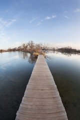 Fototapeta premium pathway through water