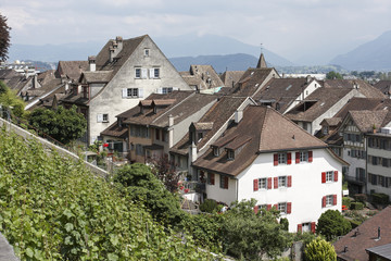 Fototapeta na wymiar Houses and Vines, Rapperswil