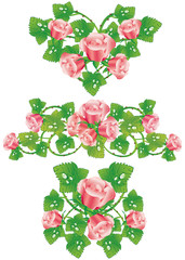 Pink rose design elements
