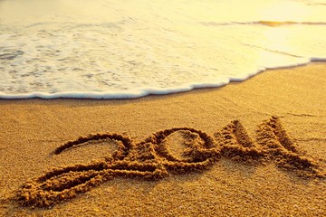 New year 2011 on beach