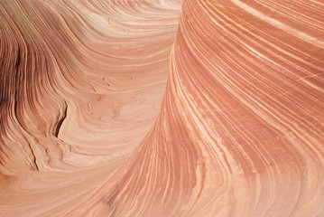 Obraz premium The Wave, Paria Canyon. Arizona