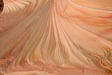The Wave, Paria Canyon. Arizona