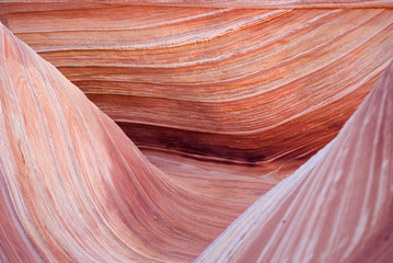 The Wave, Paria Canyon. Arizona