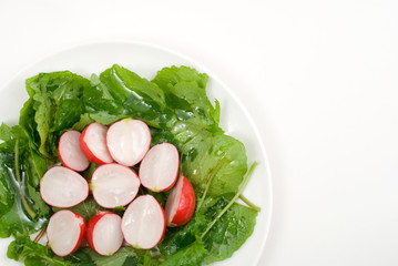 ハツカダイコンのサラダ