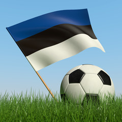 Soccer ball in the grass and flag of Estonia.