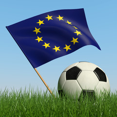 Soccer ball in the grass and flag of European Union.