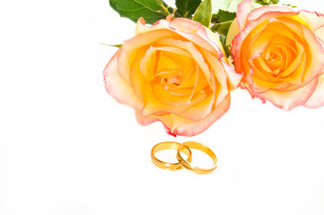 Red yellow roses and golden ring over white