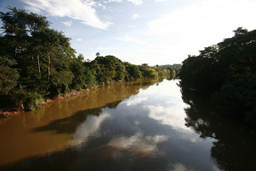 river on amazon region