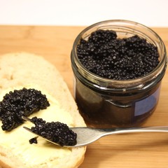 Fototapeta na wymiar etwas Kaviar