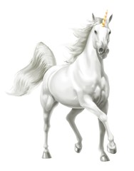 unicorno © Piumadaquila.it