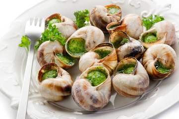 bourguignonne snail- lumache alla bourguignonne