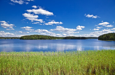 Fototapeta na wymiar Piękny krajobraz lato. Jezioro, drewna i błękitne niebo
