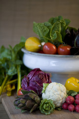 Freshly harvested organic fruits and vegetables