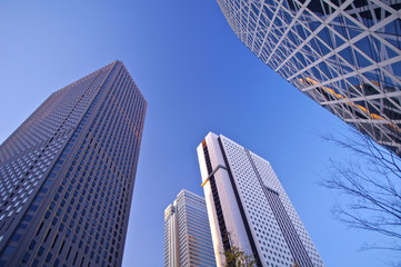 Obraz na płótnie Canvas 西新宿の高層ビル街