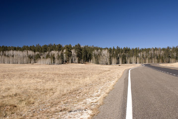 Naklejka premium Jacob Lake, Arizona