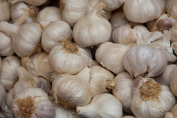 Knoblauch