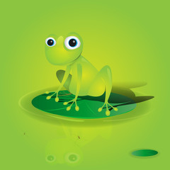 Frog with zen atttitude