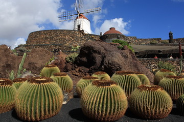 Jardín de Cactus