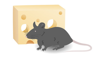 Rat and cheese vector illustration