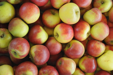 Äpfel, hier Elstar auf dem Markt