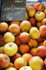 Äpfel