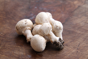 Champignons de Paris