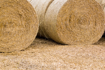 Strohballen in Reihe 02