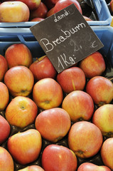 Äpfel, hier Braeburn