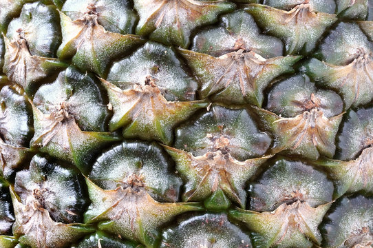 Ananas