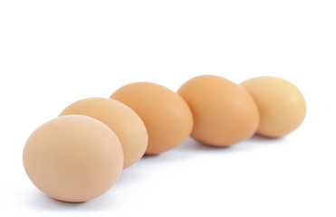 eggs