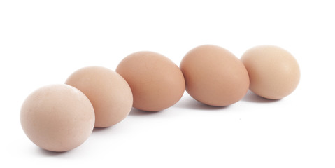 eggs