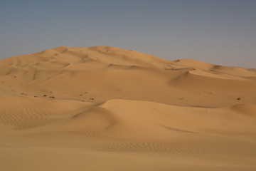 Fototapeta na wymiar Dans les dunes de Tittersine