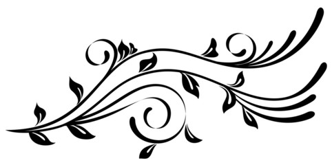 Fototapeta premium Beautiful abstract flower is isolated on the white