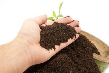 Fertile soil is at hand;