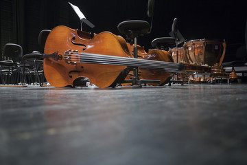 Contrebasses