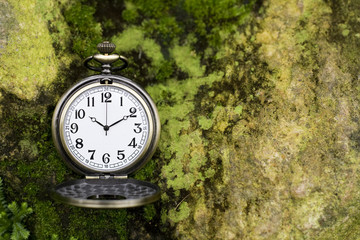 Pocket watch