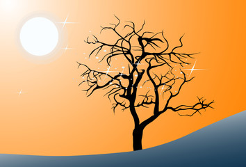 night landscape with the moon, trees silhouette and stars