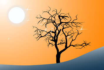 night landscape with the moon, trees silhouette and stars