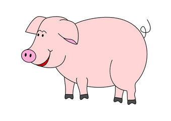 Pig