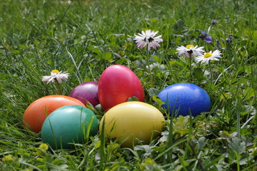 Ostereier und Gänseblümchen