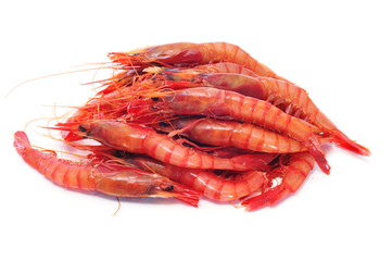 shrimps