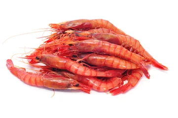 Fototapete shrimps © nito